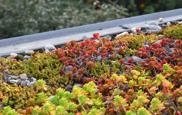 the cost of Rezare green roof installation
